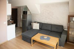 a living room with a couch and a table at MDM APARTMENT CITY CENTER in Ruse +47 photos