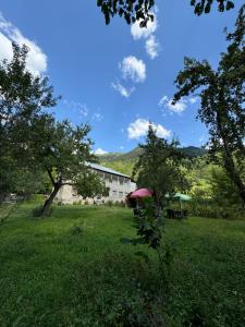 a house in a field with trees in the foreground at Guest House Mariami in Ushkhvanari