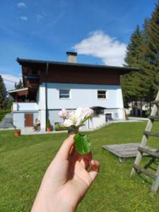Zahrada ubytování Appartements am See