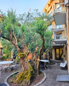 Fotografie z fotogalerie ubytování Logis hotel Noemys Gradignan v destinaci Gradignan