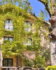 an ivycovered building with chairs and a tree at Cit Hotel Noemys Gradignan - ex Le Chalet Lyrique in Gradignan