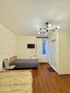 TV a/nebo společenská místnost v ubytování Evergreen Surami Hotel