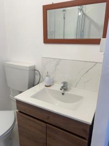 a bathroom with a sink and a toilet and a mirror at Casa da alegria in Vieira de Leiria +8 photos