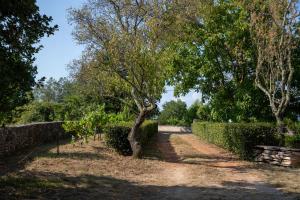 Gallery image of Apartman Jala in Medaki