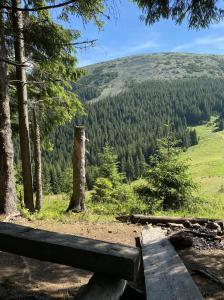 Naturlandschaft in der Nähe des Hotels