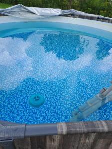 an empty swimming pool with water in it at Maamaja puhkuseks in Kibuna