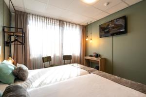 TV a/nebo společenská místnost v ubytování Hotel Villa Flora