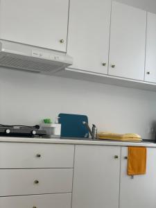 Кухня или мини-кухня в Deda Apartments
