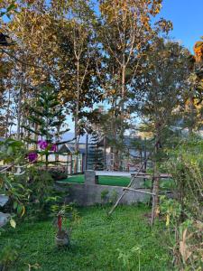 Zahrada ubytování One khaokho homestay