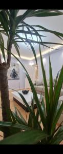 a room with a table and a palm tree at Abla's sweet home in Tirana