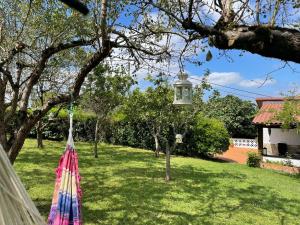 a hammock hanging from a tree in a yard at Casa Benjamín in Oviedo