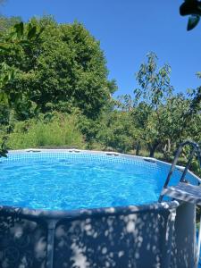 a swimming pool with a chair next to some trees at Gîte l'appel de la Forêt in Betplan