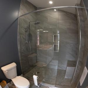 a bathroom with a shower and a toilet at Captain Dan's Sunset Suite in Saint Andrews +18 photos