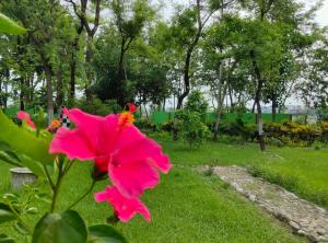 Un jardín fuera de Sudarshan Resort