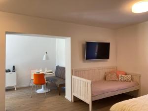 TV a/nebo společenská místnost v ubytování APARTMÁNY ŠÁRKA