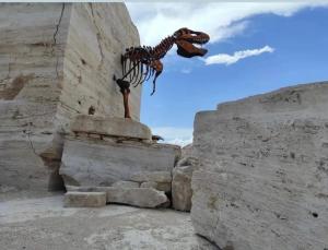 Фотография из галереи RESIDENCIA EL ENCINO в городе Куатросьенегас-де-Карранса