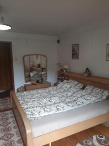 a large bed in a bedroom with a mirror at Casa Stana de Vale in Sovata