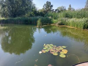Výhled na řeku, která protéká v blízkosti prázdninového domu
