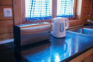 a toaster sitting on a kitchen counter next to a sink at Gothes Chalet Albertito in Ponte de Vagos