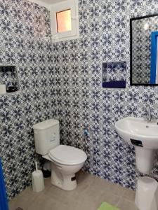 a bathroom with a toilet and a sink at Une belle maison djerbienne in Djerba +13 photos