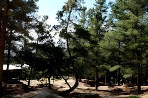 Φωτογραφία από το άλμπουμ του Cabaña del Cerro 4 σε Pichilemu