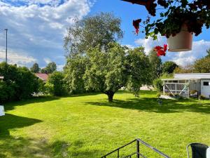 a green yard with a tree and a house at Bubo mysigt litet hus i Noret in Mora