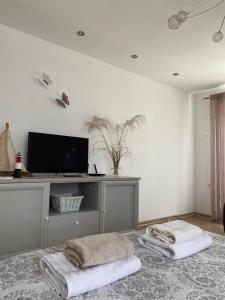 a living room with a television and towels on the floor at Borkówka in Choczewo