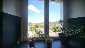 a window with potted plants in a room with a view at Appartement du Fort Griffon in Besançon
