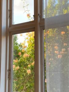 an open window with a view of a tree at Leilighet i villa, 3 soverom med parkering-nær sentrum - Open for ONS 2026 in Stavanger