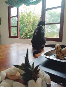 Фотография из галереи Casa de Praia Hostel Campeche - Florianópolis во Флорианополисе