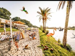 grupa ludzi na plaży z flamingiem w obiekcie NightHost Kleczkowska 49 m53 Wrocław we Wrocławiu