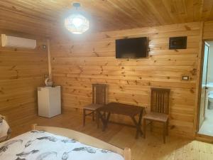 TV a/nebo společenská místnost v ubytování Guest House Castle + 1 fotografie