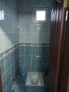 a bathroom with a toilet in a blue tiled room at Hamsiköy green garden in Trabzon +13 photos