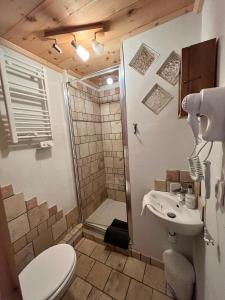 a bathroom with a shower and a toilet and a sink at Appartement Esprit Chalet 71m² in Briançon +13 photos