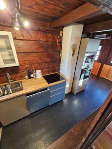 una cucina con lavello e frigorifero di Nest in Crest a Champoluc