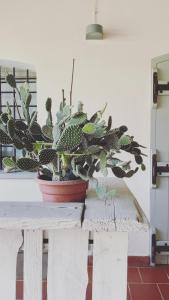 Galeriebild der Unterkunft La Scuderia Charming Rooms b&b in San Paolo Solbrito