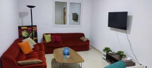 TV a/nebo společenská místnost v ubytování Appartement ergonomique