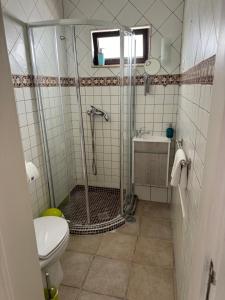 a bathroom with a shower and a toilet at Vitória House in Évora +43 photos