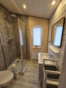 a bathroom with a sink and a shower and a toilet at Domus Mare Tiny House 1 in Wisełka +31 photos