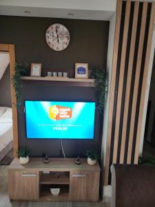 Televiisor ja/või meelelahutuskeskus majutusasutuses Apartman Planinski san Divčibare