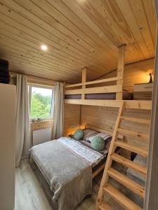 a bedroom with a bunk bed in a wooden cabin at Domus Mare Tiny House 1 in Wisełka