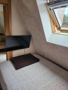 Televiisor ja/või meelelahutuskeskus majutusasutuses Apartman Planinski san Divčibare