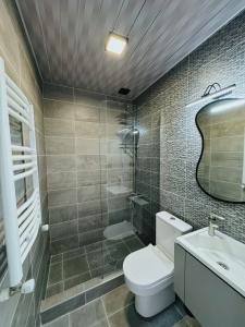 un bagno con wc, doccia e lavandino di Cozy Rooms with View, Sighnaghi a Sighnaghi