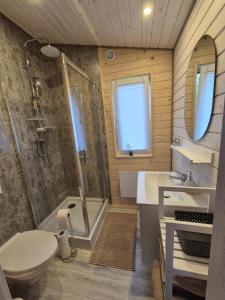 a bathroom with a shower and a toilet and a sink at Domus Mare Tiny House 2 in Wisełka +33 photos