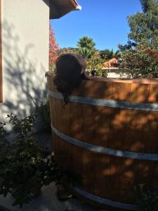 a cat laying on top of a wooden fence at Hotel Boutique Solaz Bella Vista de Colchagua in Santa Cruz