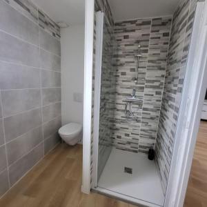 a bathroom with a shower and a toilet at O Nid Naturel in Mauléon +7 photos
