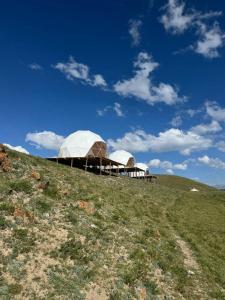 two domes on top of a grassy hill at Son-Köl Glamping in Song-Kul