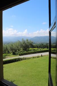 the country house周边自然景观
