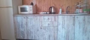 a kitchen with a microwave on top of a counter at Садиба Лісовичок in Yaremche