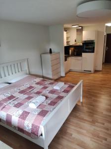 City Apartment في رادولفتسل آم بودينسي: غرفة نوم مع سرير كبير ومطبخ +14 صورة